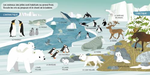 Les animaux du monde - Livre sonore