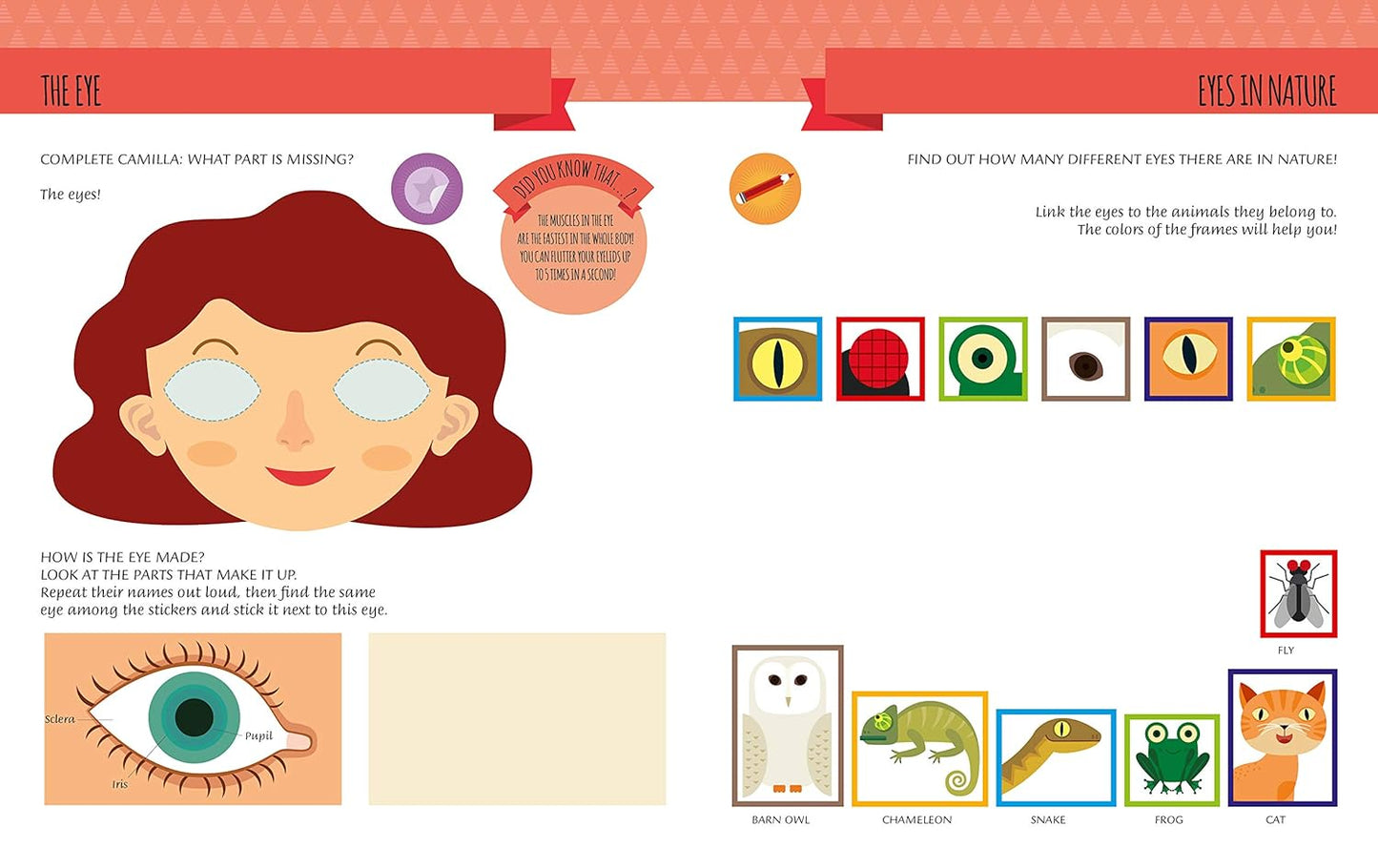 My First Book of the Human Body: Montessori Activity Book