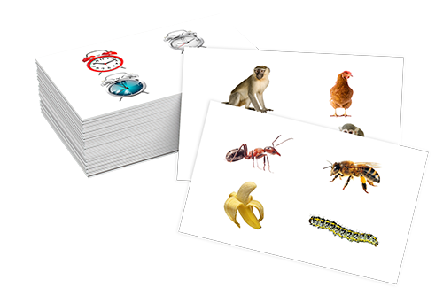 من لا ينتمي - Jeu qui n'appartient pas