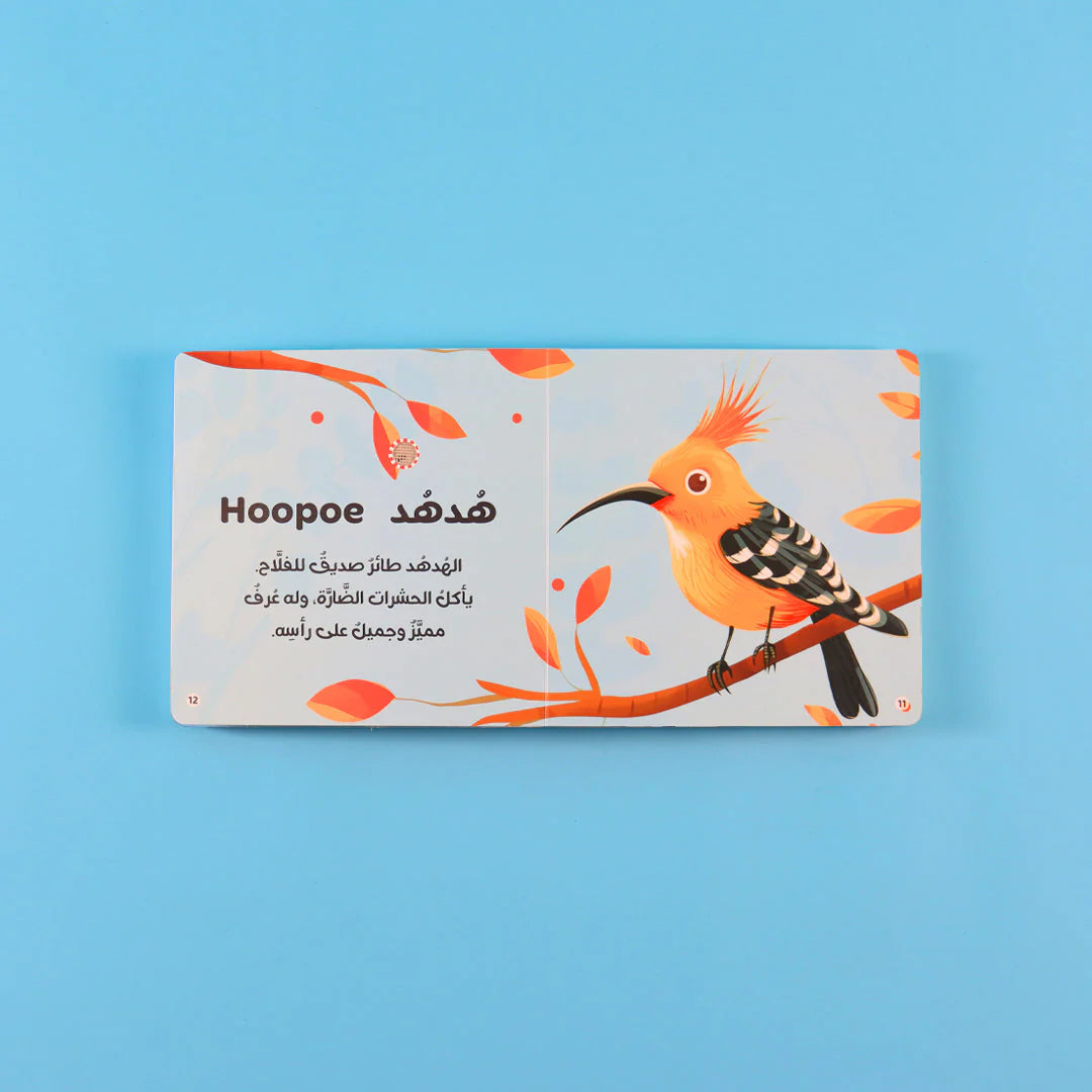 كتابي المسموع: أصوات الحيوانات - coffret livres sonores animaux