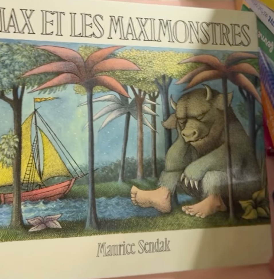 Livre Max et les maxi monstres (occasion)