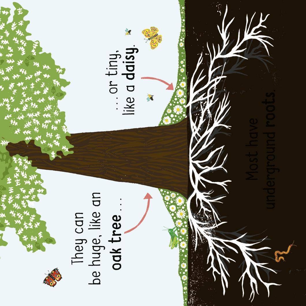 Science Words for Little People: Plants