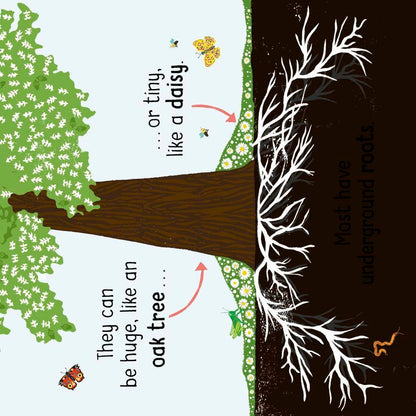 Science Words for Little People: Plants