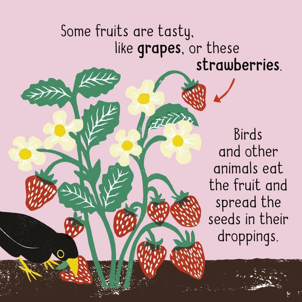 Science Words for Little People: Plants