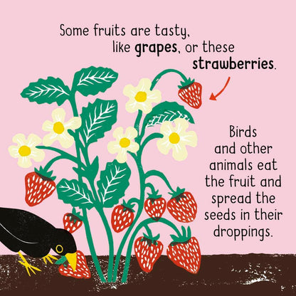 Science Words for Little People: Plants