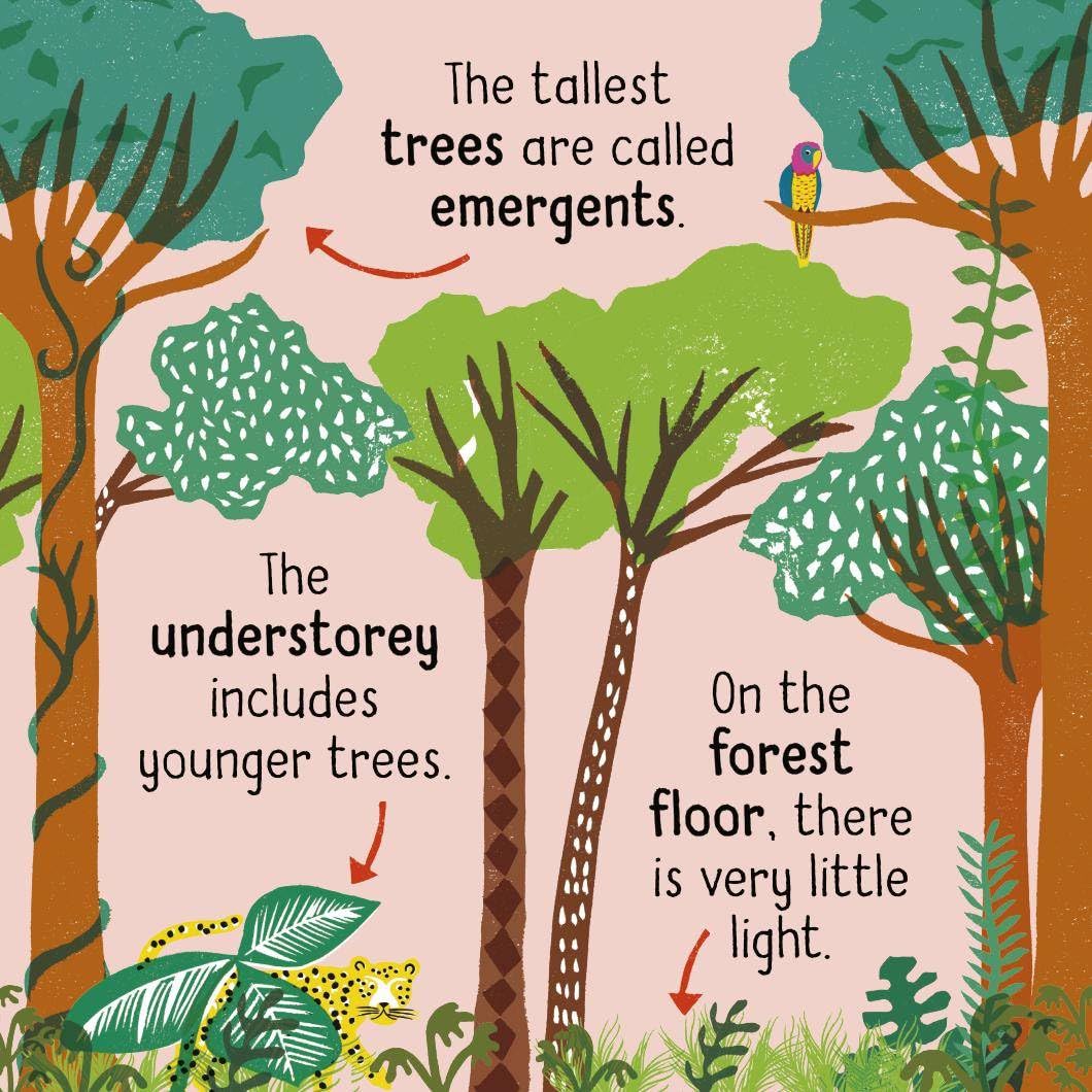 Science Words for Little People: Plants