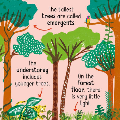 Science Words for Little People: Plants
