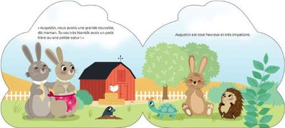 Livre Des bébés chez la famille lapin