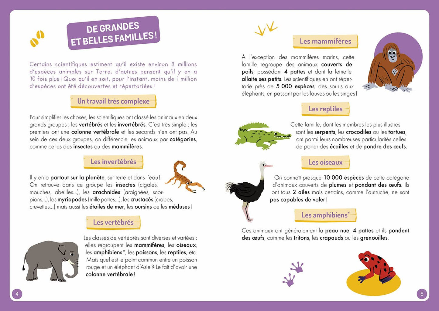 À la découverte des animaux du monde