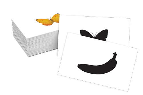 الشكل وظله - Trouver les ombres