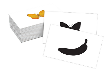 الشكل وظله - Trouver les ombres