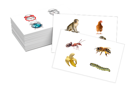 من لا ينتمي - Jeu qui n'appartient pas